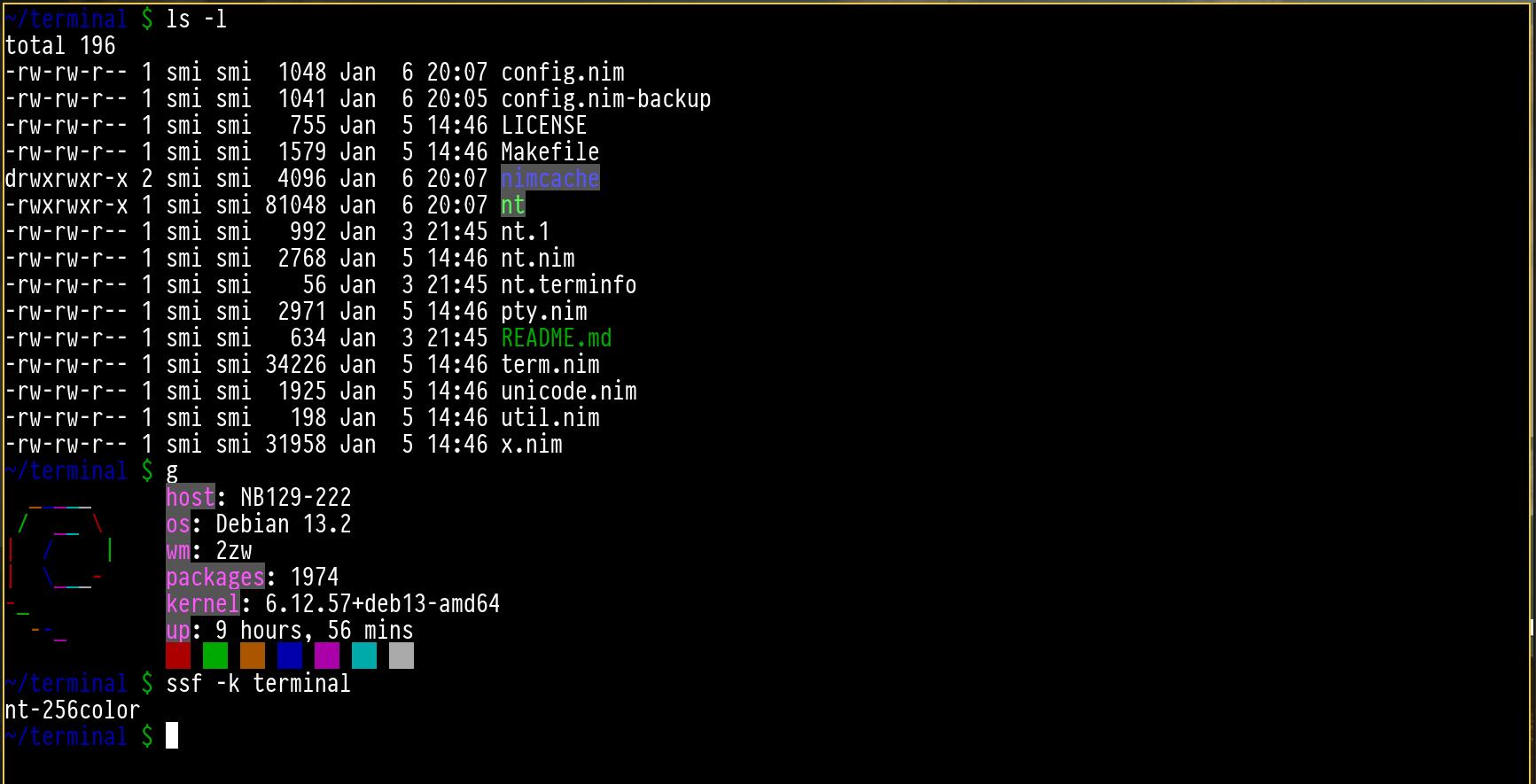 nt - terminal